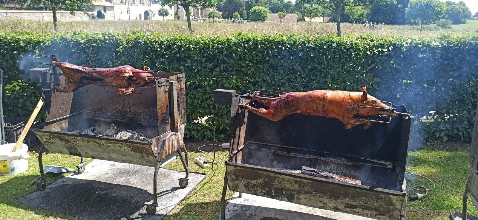 Cochon de lait